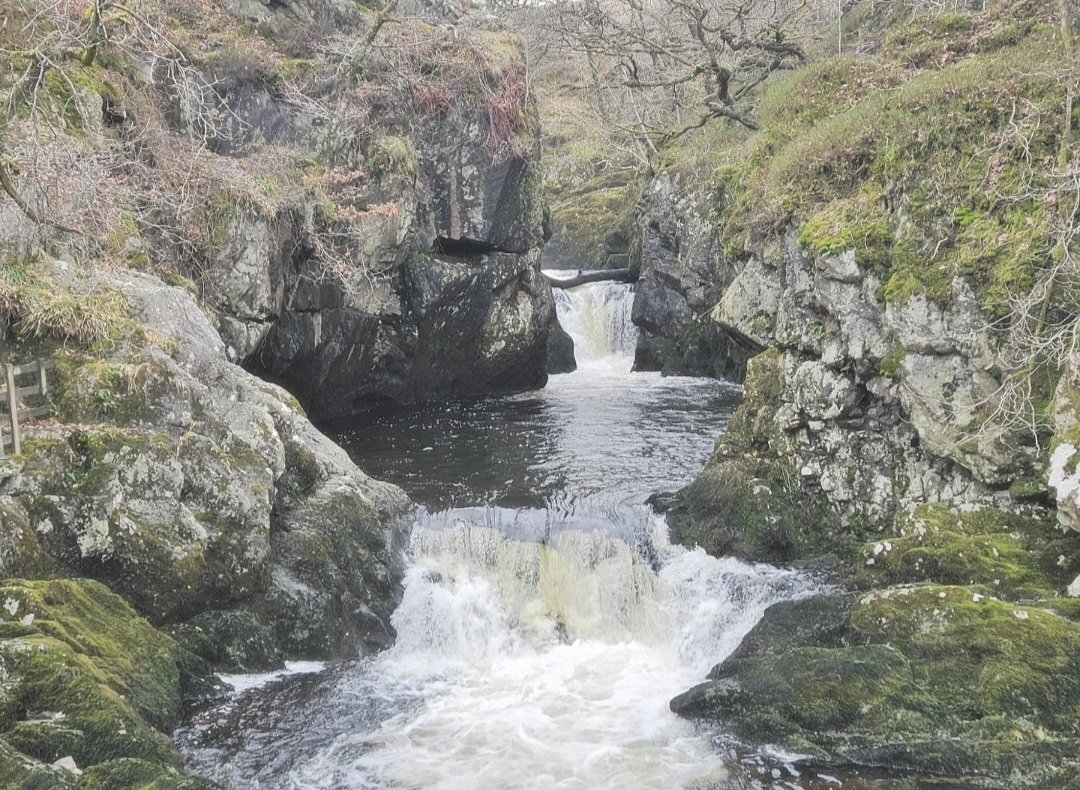 walkswithsteph's tweet photo. Beautiful walk at Ingleton Waterfall Trail #ingleton #ingletonfalls #yorkshiredales #nationalpark @yorkshire_dales #hikinguk #yorkshire https://t.co/jcuTLaC8z2