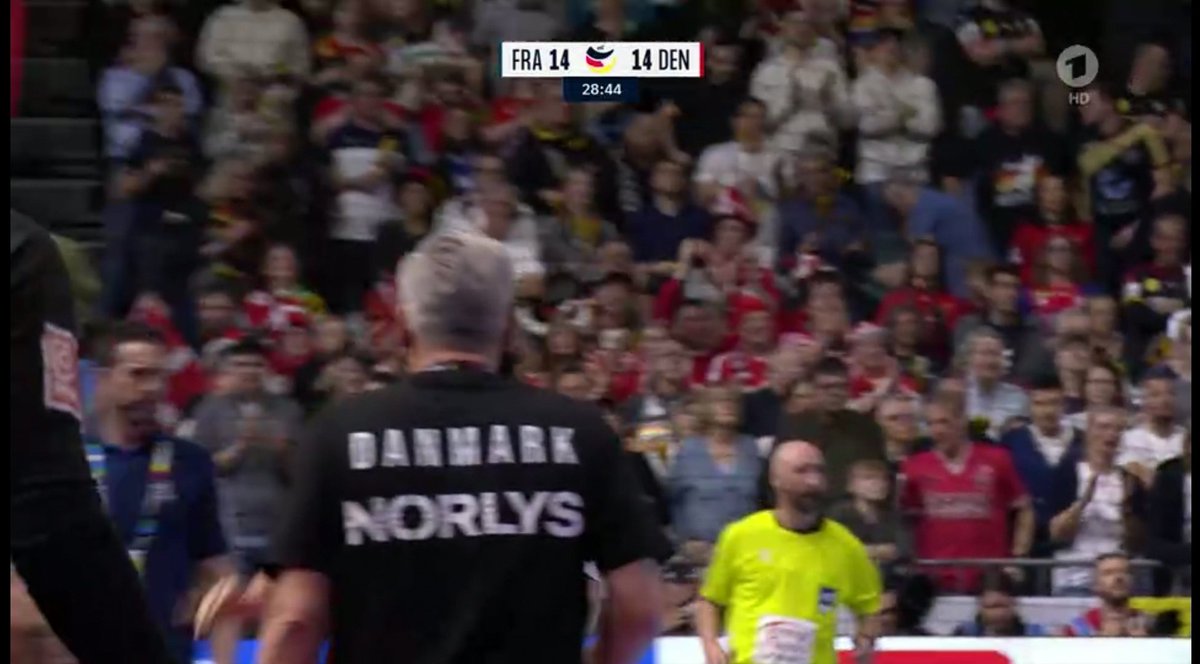 Die Dänen sind alle aus einer Familie, die heißen alle Norlys. 🤡 #denfra #fraden #handball #HandballEM