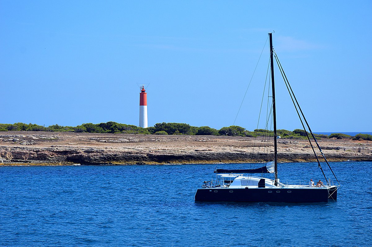MerBateaux's tweet image. Le #multicoque est devenu le voilier de référence pour la croisière hauturière. Mais un catamaran peut aussi être un excellent #bateau pour naviguer le long de nos côtes. Mais quels sont les meilleurs #catamarans d’occasion ?
mersetbateaux.com/meilleurs-cata…