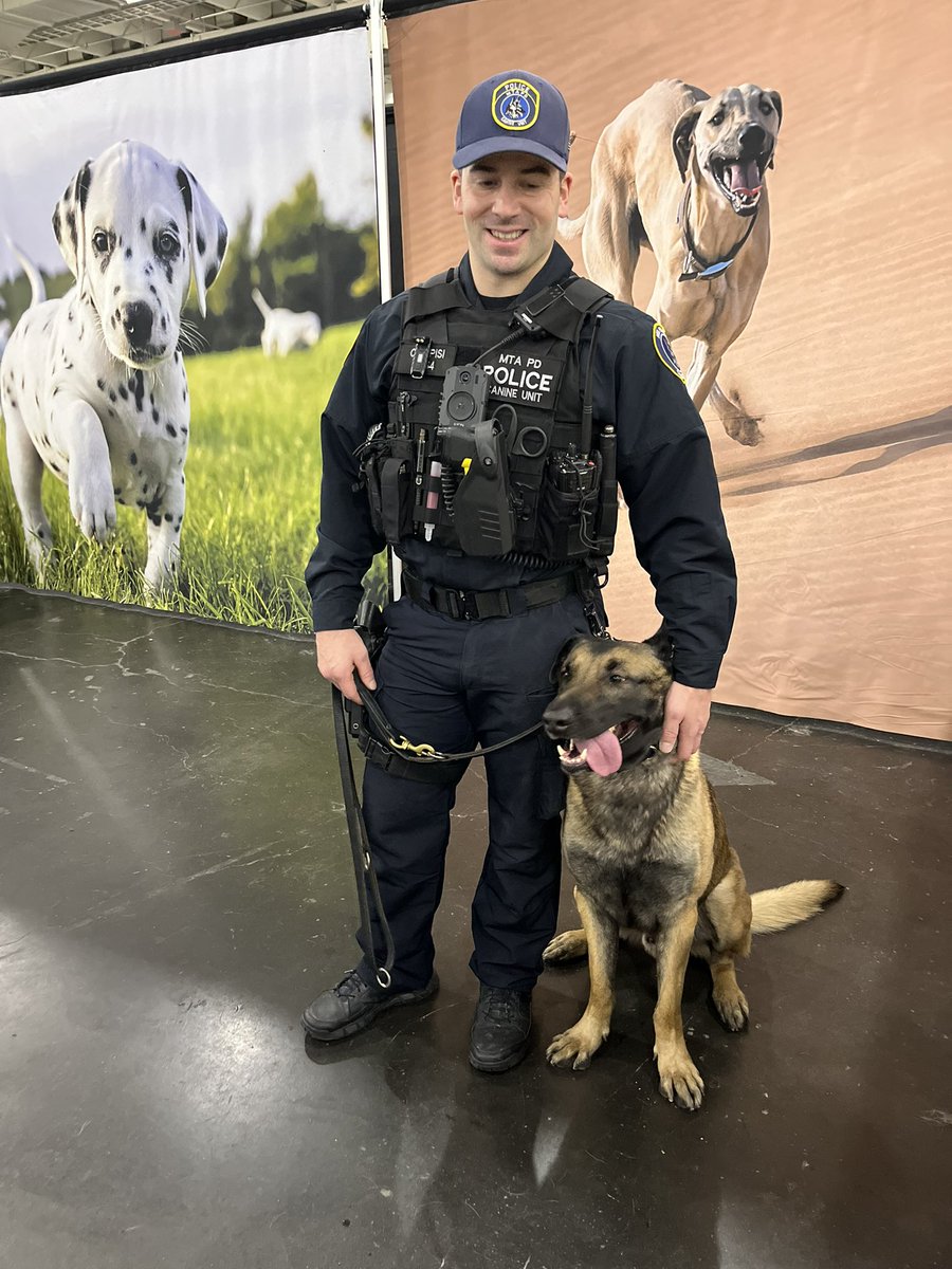 <a href="/MTAPD/">MTA Police Department</a> K9 at AKC Event, NYC.