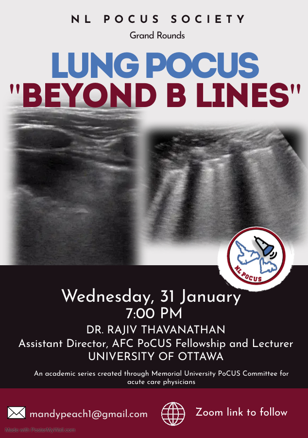 Wanna take your lung scanning to the next level with the views/equipment you already have? I'm giving a talk this Wed for the NL #POCUS Society Grand Rounds on Lung US... email @mandy_peach if you want to attend, not sure if there's gonna be a recording so don't miss it!
