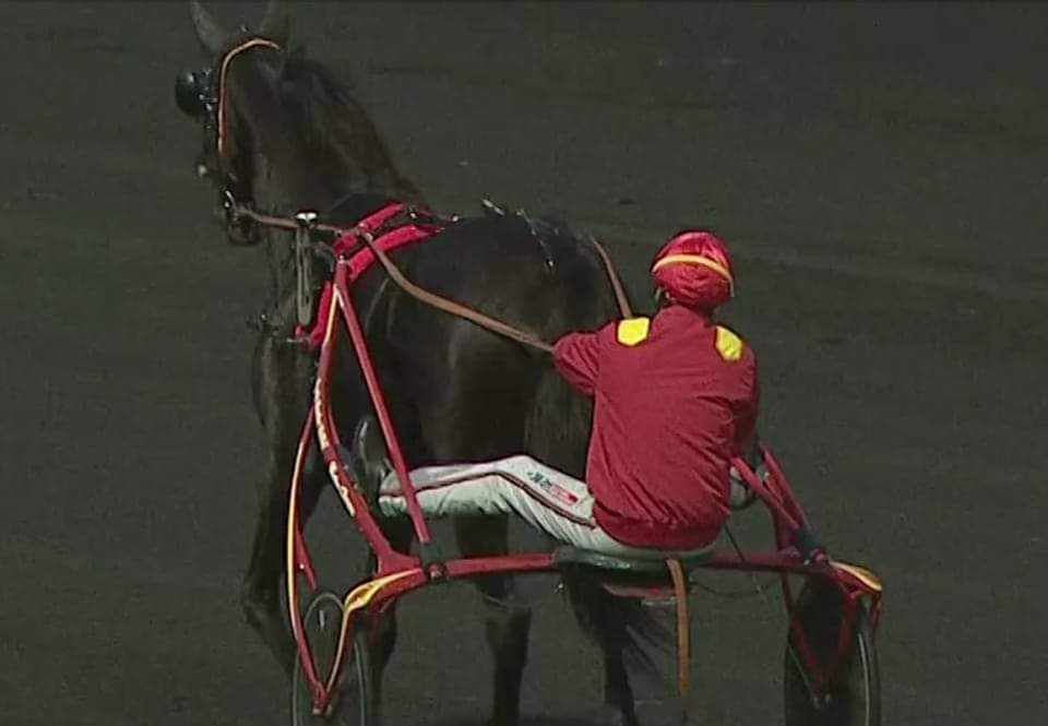 Isla Jet #BoldEagle won the Prix WTW in Vincennes 🇫🇷
⏱️ 1.10.3 - 2100 m