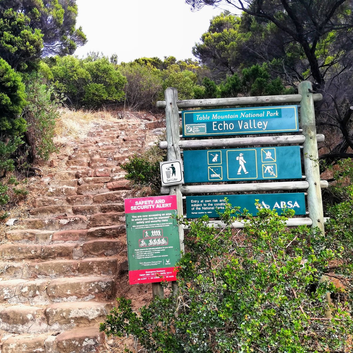 We are cooking it nicely!
#RunningWithTumiSole