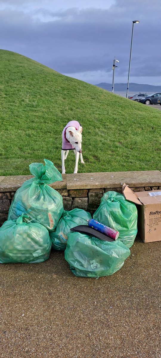 another week just past and four events across Inverclyde to help our local environment Two in Port Glasgow & Two in Gourock 13 Volunteers attending (plus Bella, below), lifting 20 bags of detritus plus additional curios Magnificent effort
