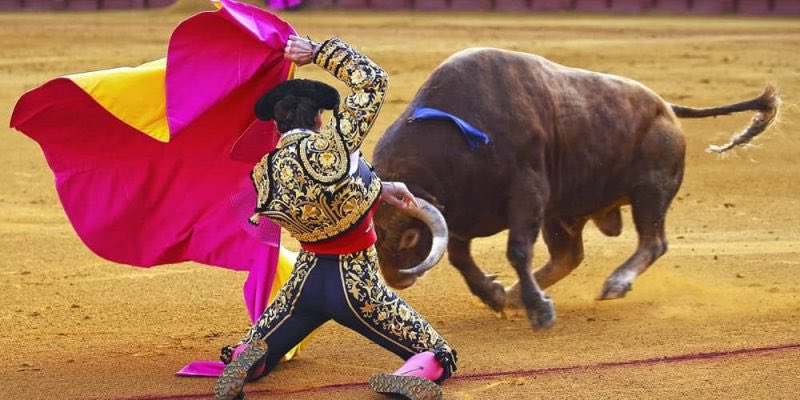 Hoy voy a los toros… ¿por qué?, si soy un gran defensor de los animales👇🏼 

Porque se me da la gana.
Porque no nací para darle gusto a nadie.
Porque puedo.
Porque tengo muchos amigos en el medio y hay que apoyar.
Porque para poder criticar hay que atestiguar.

Pero sobre todo,