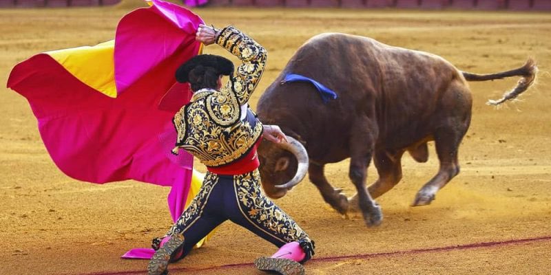 Hoy voy a los toros… ¿por qué?, si soy un gran defensor de los animales👇🏼 Porque se me da la gana. Porque no nací para darle gusto a nadie. Porque puedo. Porque tengo muchos amigos en el medio y hay que apoyar. Porque para poder criticar hay que atestiguar. Pero sobre todo,…