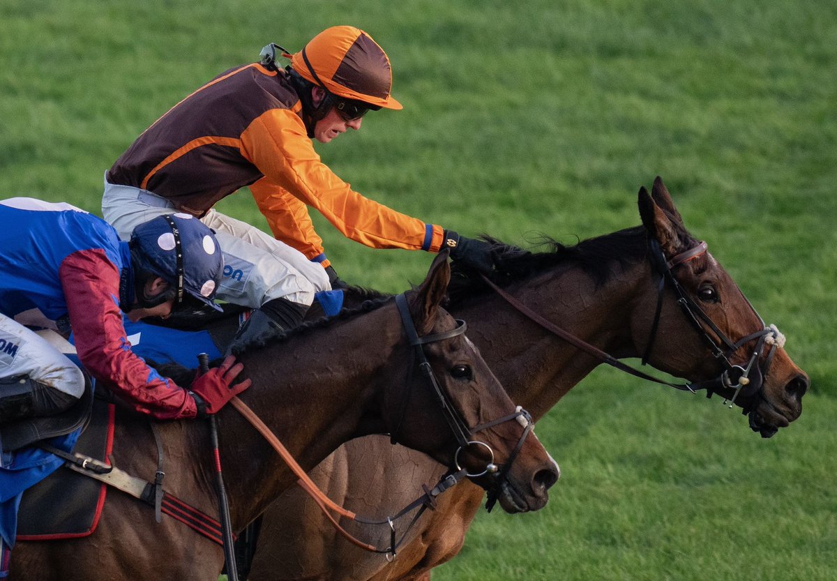 Noble Yeats Stakes Stayers Hurdle Claims With Grade 2 Win.
Noble Yeats (9g Yeats – That’s Moyne, by Flemensfirth) returned to winning ways when staying on strongly in... bit.ly/3HCbGnW