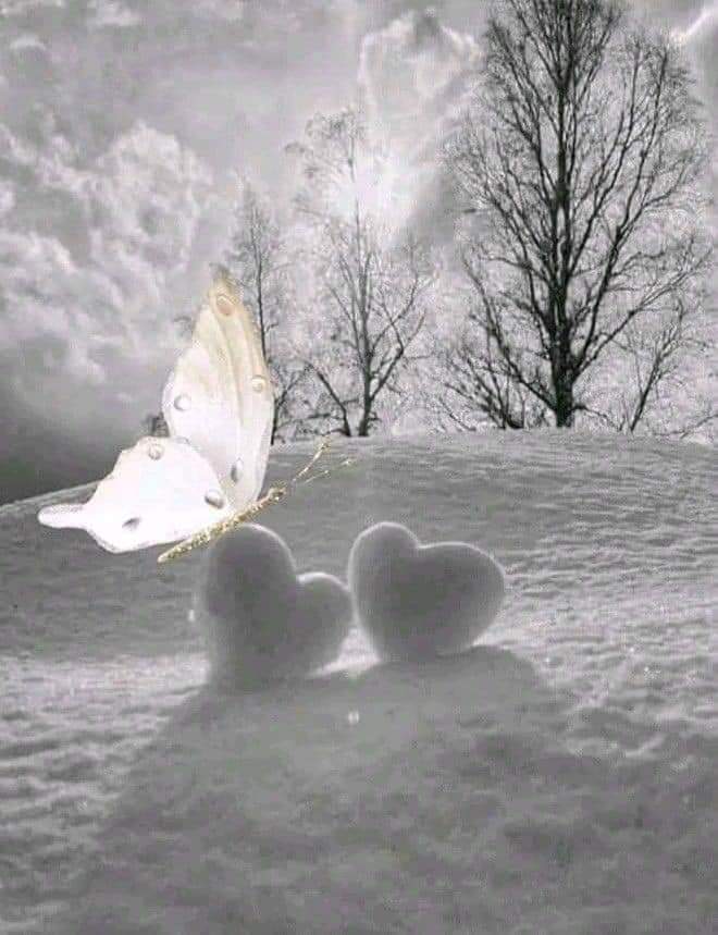 Bonne soirée chers patriotes, en ces temps pas si faciles un peu de poésie pour se détendre. 
Vive nous, vive la France 🇨🇵❤️👍