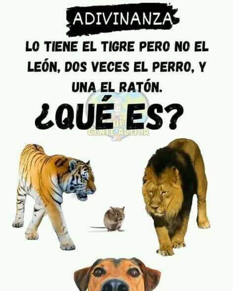 Adivinanza vía <a href="/kitty_894/">๑۩۞۩๑(🌹ヨハンナ🌹)๑۩۞۩๑</a>
