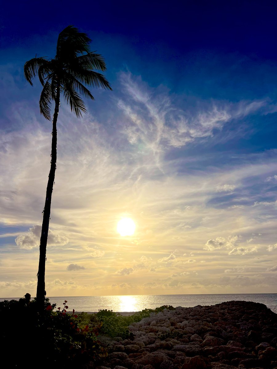ltuttle4_tuttle's tweet photo. 🦈☀️🏝️#capeeleuthera https://t.co/XJleaVebkq