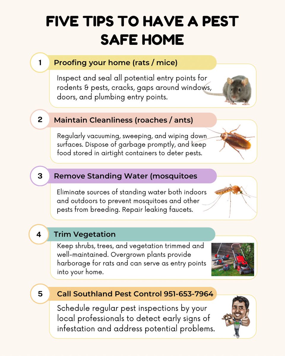 SouthlandPest's tweet photo. Here are some tips to help you enjoy a pest free home. https://t.co/pnGe8nxlsR