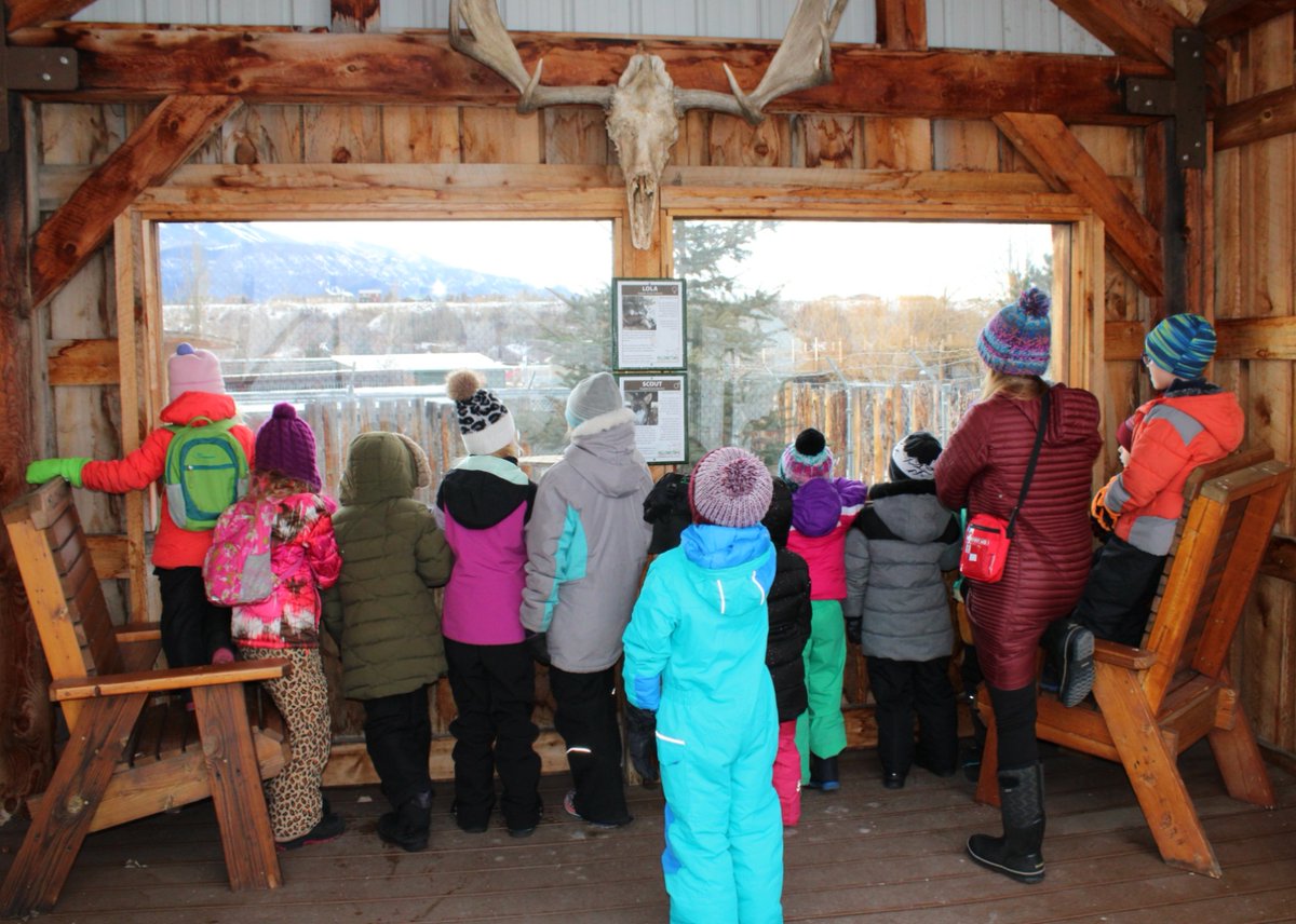 ❄️ Our winter camps start soon! There are camps available every Sunday in February for elementary students and ones for middle schoolers as well! 

 💙 Click here for more details and to register for the ones you want to join: zurl.co/wJ2H