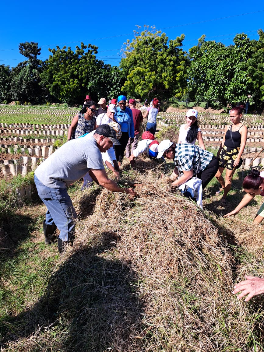 Ministerio de Economía y Planificación de Cuba tweet media