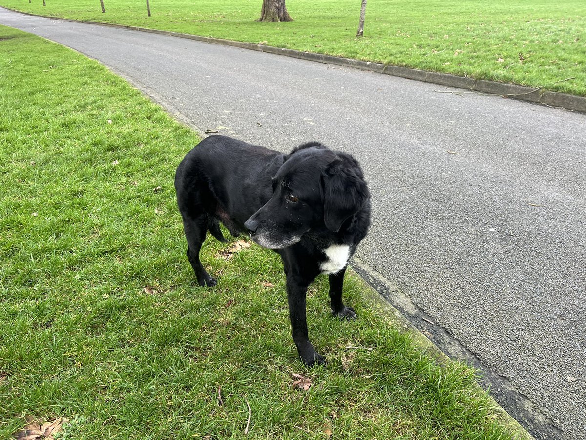 Paul carlin tweet media