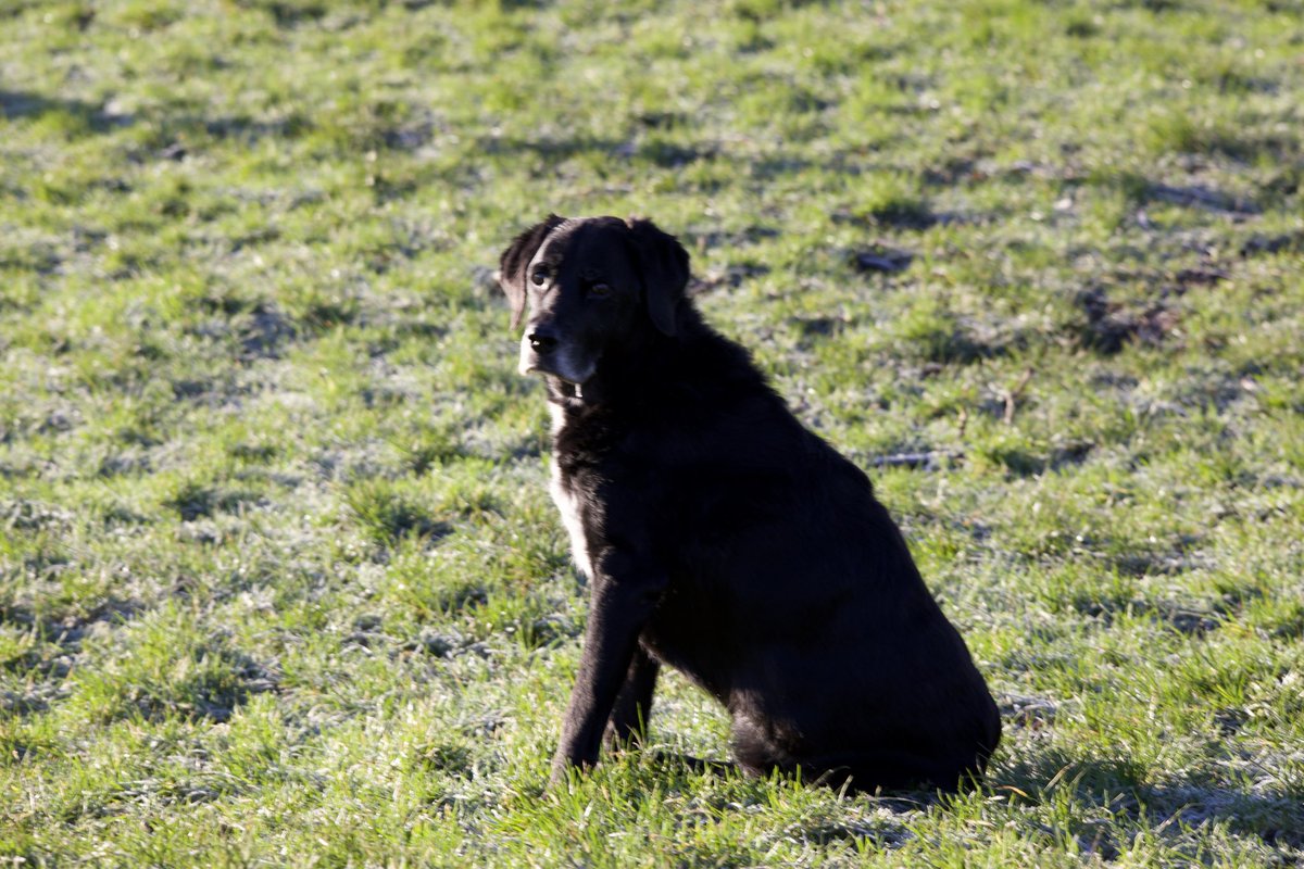 Paul carlin tweet media