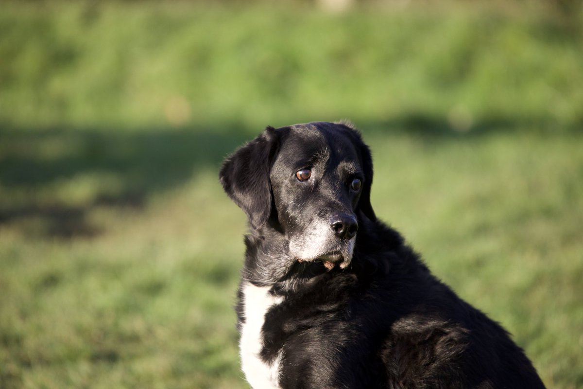 Paul carlin tweet media