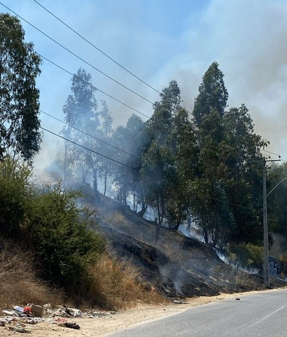 🚨Bomberos🚨 #Melipilla despacha a Incendio de pastizales Sector El Transito, Camino El Marco, Responden Carros B3, B4, Z4, emergencia en desarrollo 🚒💨.- <a href="/chile_accidente/">Accidente Chile</a>