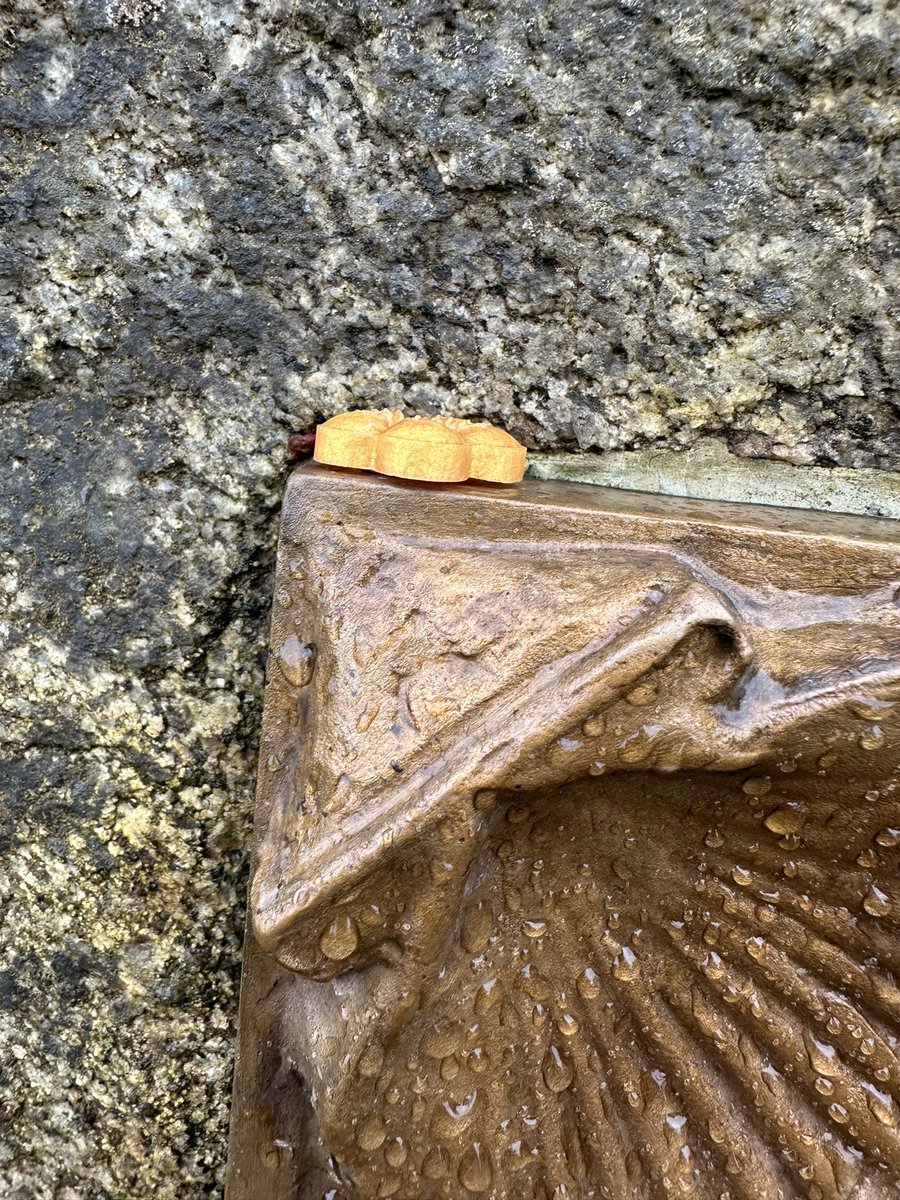 ptmonkey5's tweet image. Hiding many more than pictured… so fun to hear people find our stuff! #monkeyshines2024