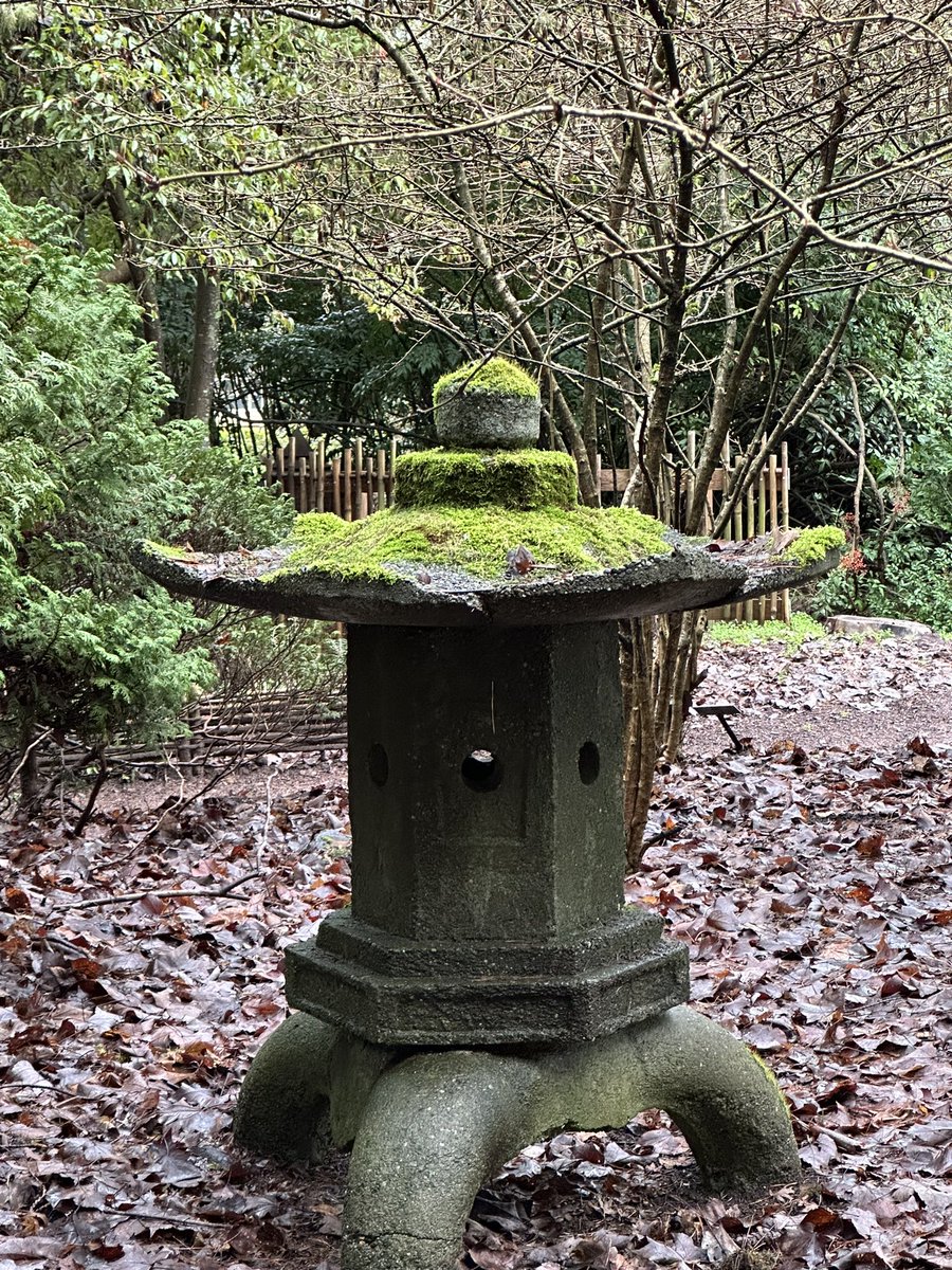 ptmonkey5's tweet image. Hiding many more than pictured… so fun to hear people find our stuff! #monkeyshines2024