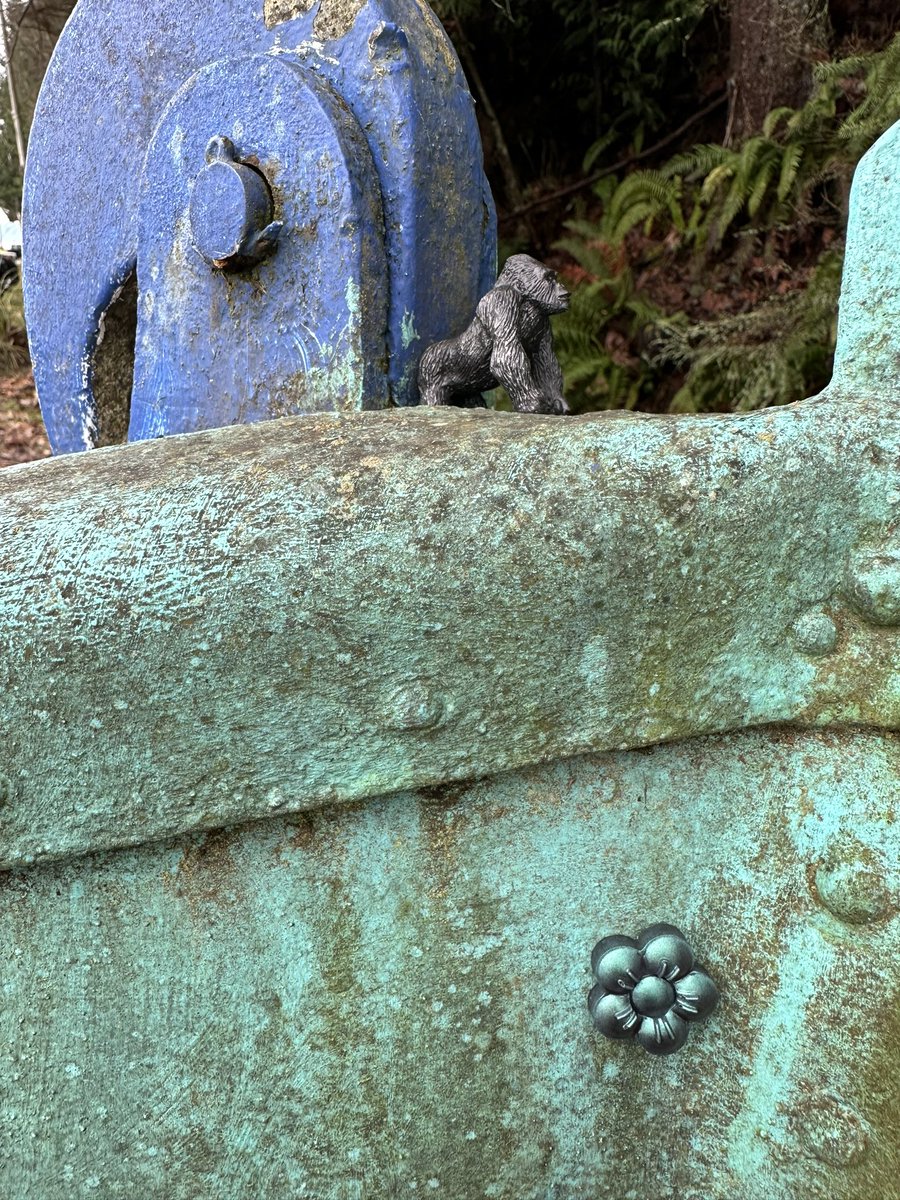 ptmonkey5's tweet image. Hiding many more than pictured… so fun to hear people find our stuff! #monkeyshines2024