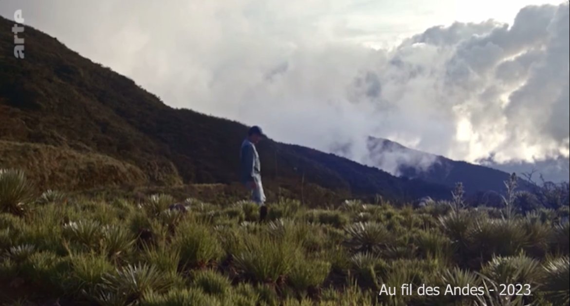 Oso Andino en la Pantalla de Netflix dlvr.it/T20dCR