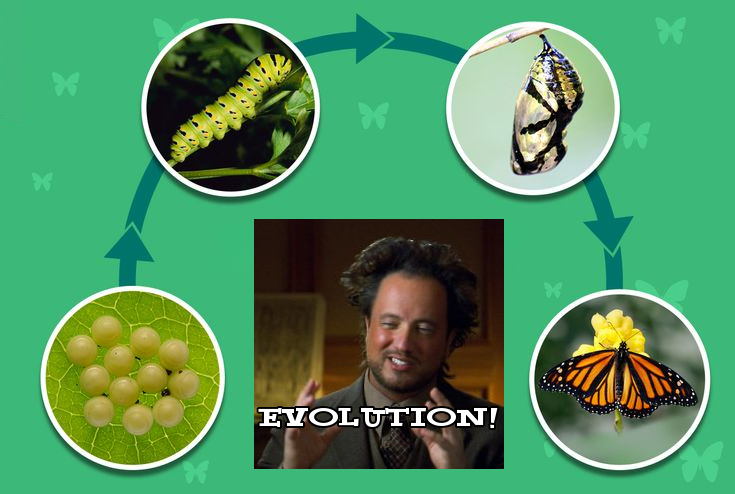 BigBLupo's tweet image. Survival of the fittest, but don't touch the butterfly's wings.
#bigbymeme #memes #magictheory