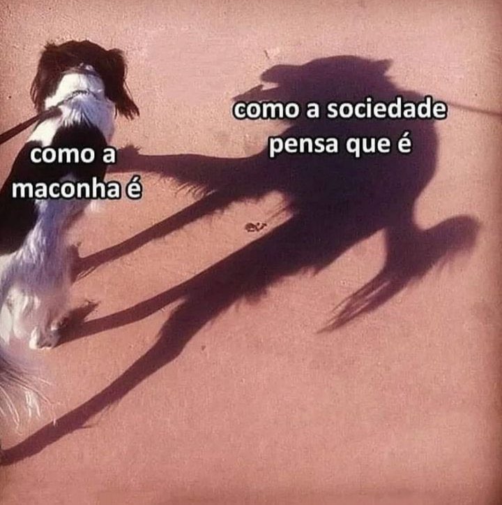 ihlombrei's tweet photo. Vcs tão preparados pra essa conversa? https://t.co/nuATLB77nE