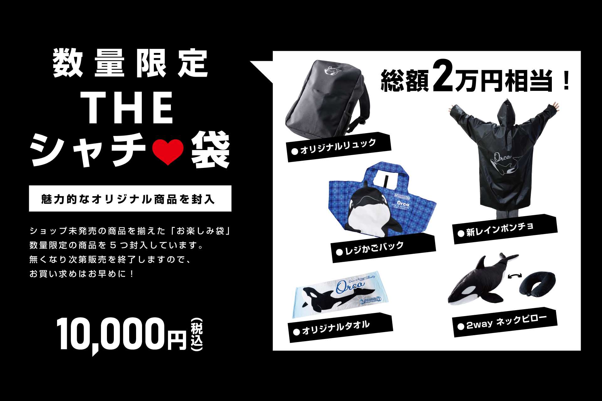 鴨川シーワールド　福袋限定　シャチ　リュック 鴨川シーワールド【公式】 on X: 
