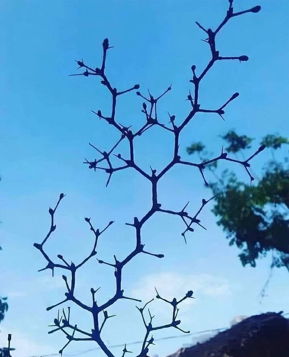 One with nature. 🍃

via theuniverse_calling