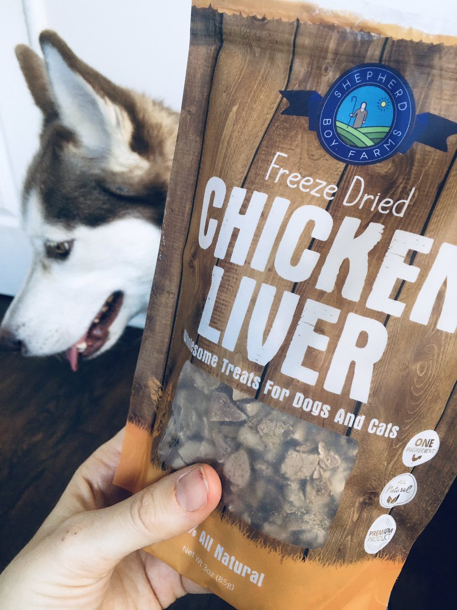 ashkwri's tweet photo. After a very fun trip to the local dog park, Smiley got some wholesome treats from @Woofitupllc #sanpedro #husky #SundayFunday https://t.co/XVGHRNfGkP