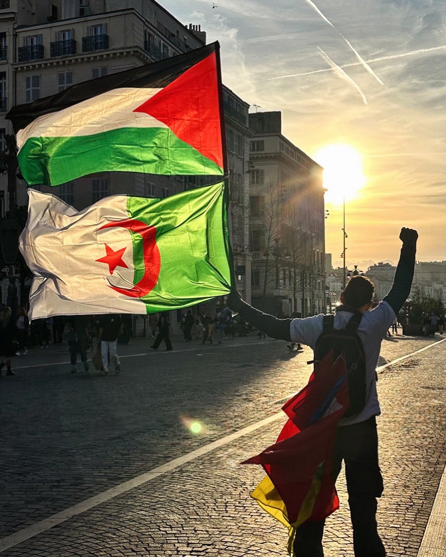 hamzactu1's tweet photo. #marseille aujourd’hui #gaza #palestine #pic #photo #dz https://t.co/E858MG7pgq