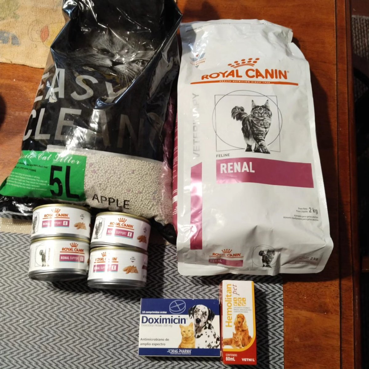 Kristian_Mella's tweet image. VAMOS LENTITOS PERO FALTA MUY POCO

Llevamos $134.000 de $154.830 por recaudar para el gatito llamado #Vesper

Hemos abonado por 2 semanas en casa/temporal (video) en Independencia. Hemos comprado ya algunos remedios y alimento, pero nos faltan aún otros remedios, justamente uno