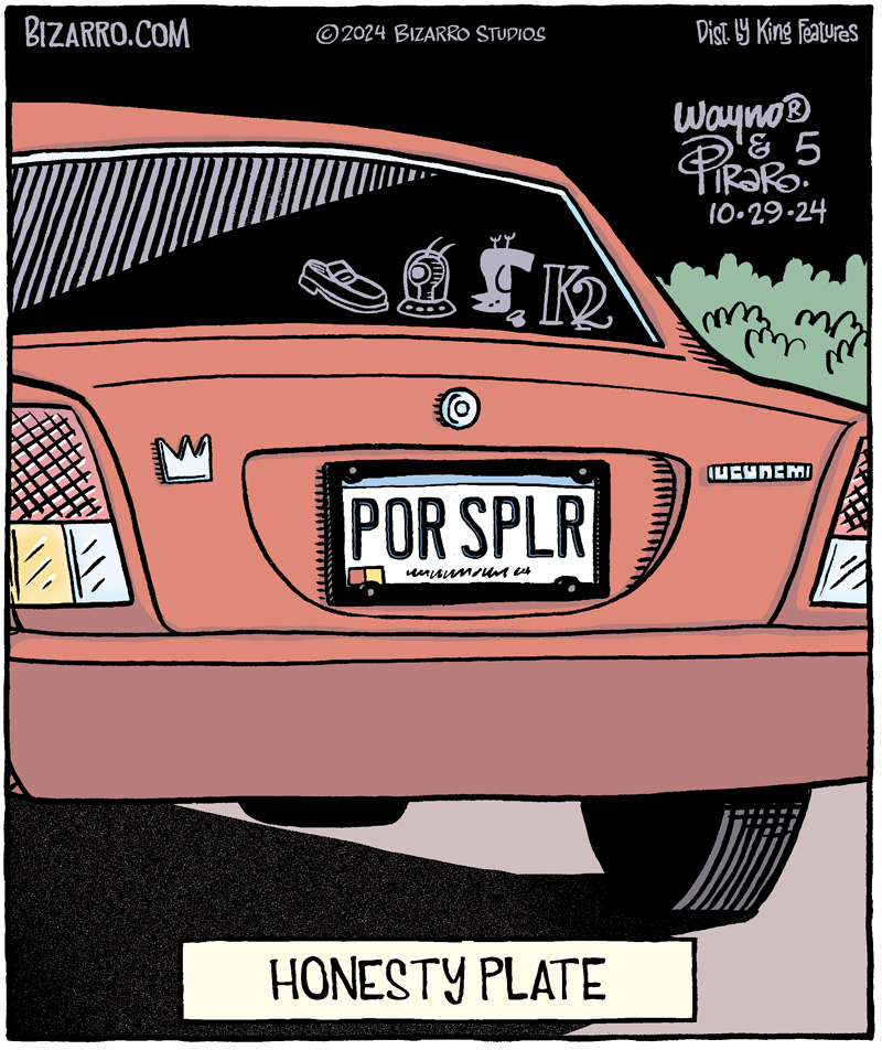 Embossed Subtext
#comics #cartoons #cars #licenseplate #vanityplate 
#spelling #Bizarro