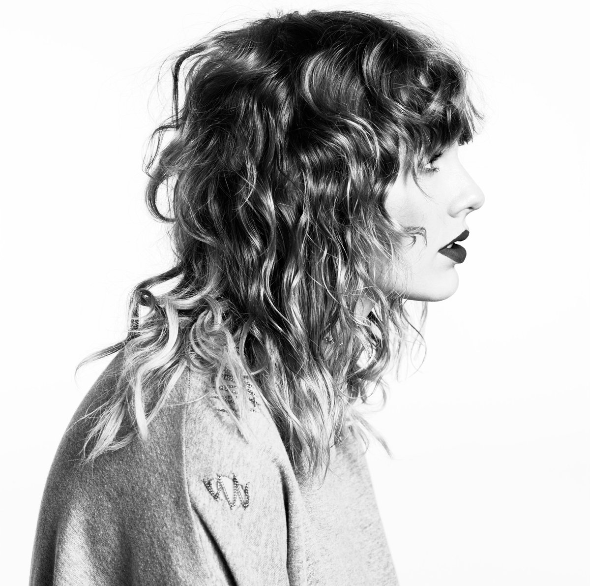 The Swift Society (@theswiftsociety) on Twitter photo 