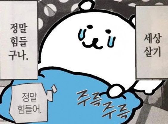 maeng_808's tweet photo. 치피치피차파차파루비루비라바라바마킼쿠비루비두비루루루 https://t.co/HKR7LrdQ1B