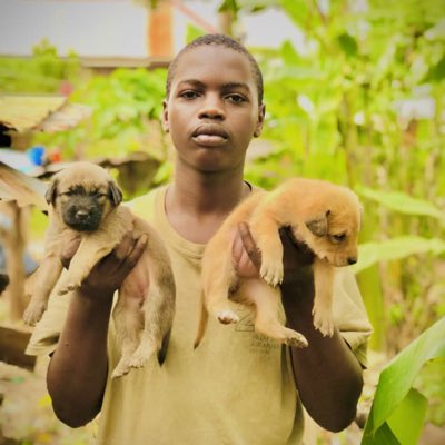 Zigoti Pets care (@zigotipetscare) on Twitter photo 