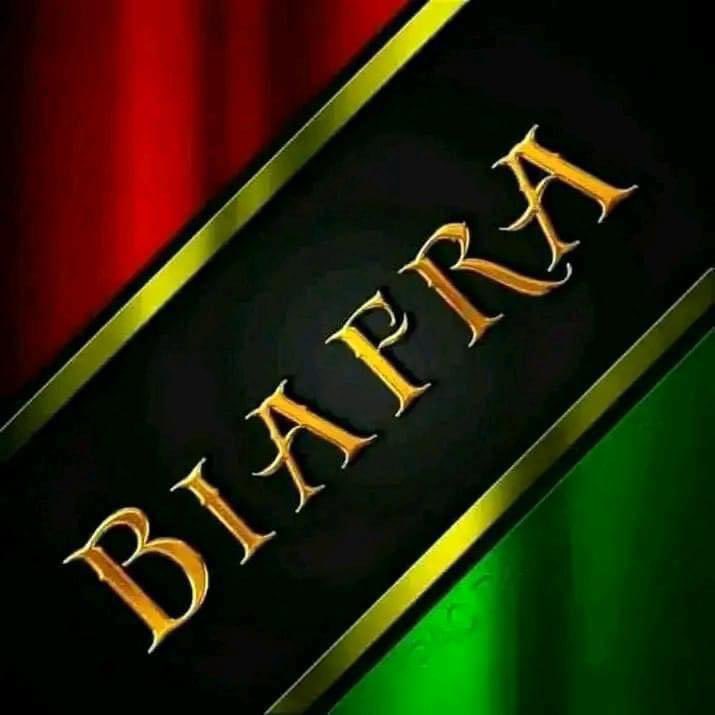 ChinasaNworu's tweet photo. All #IPOB Members who  blackmailed me out of ignorance, be assured I have forgiven you &amp;  I urge others to follow suit bcos of our #Biafra struggle. 
@real_IpobDOS @cedoziemm @agbanyim1 @ofoma3 @MaziUbaOfficial @radiobiafralive https://t.co/nvxGhrNQxA