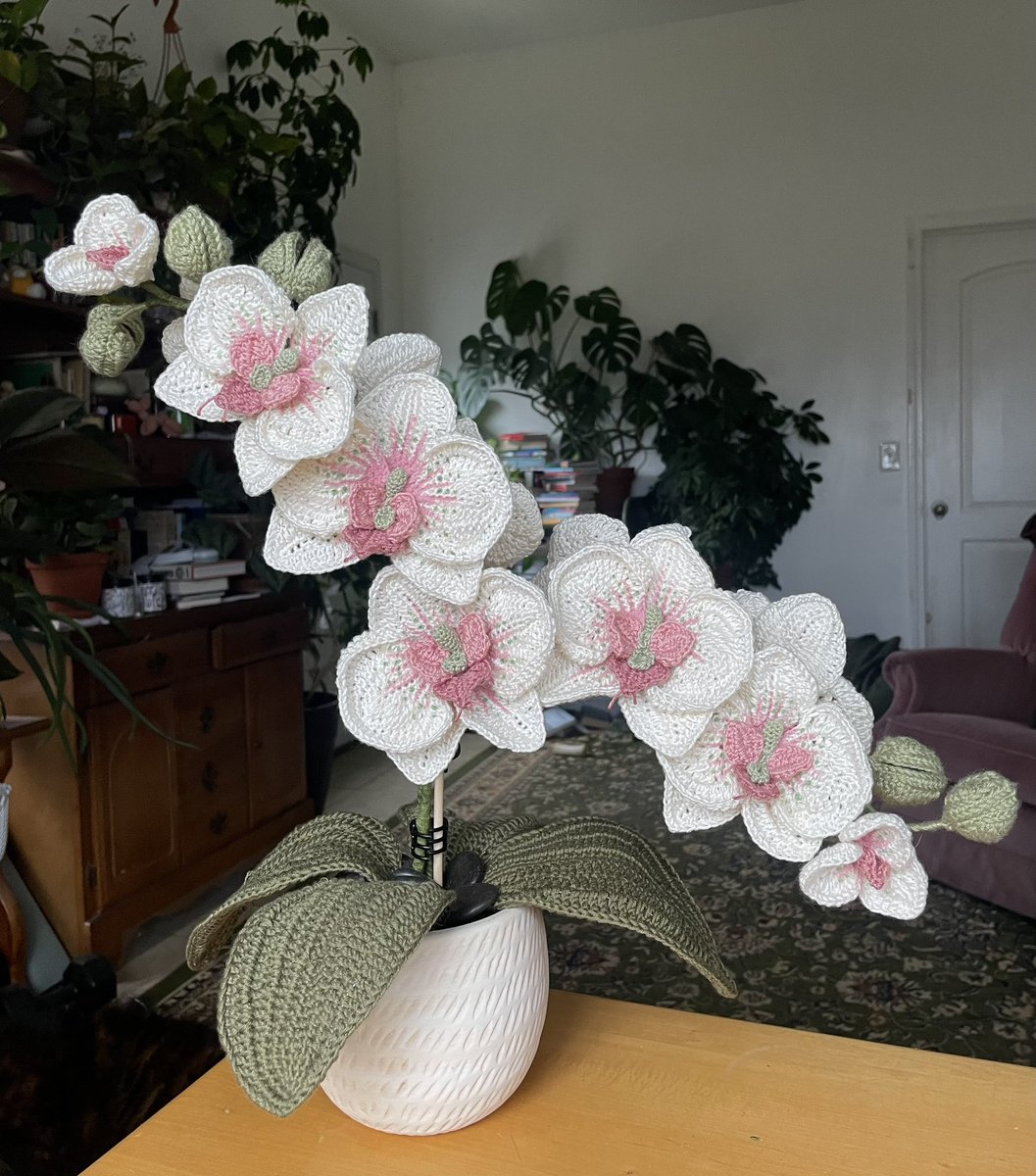 crocheted an orchid