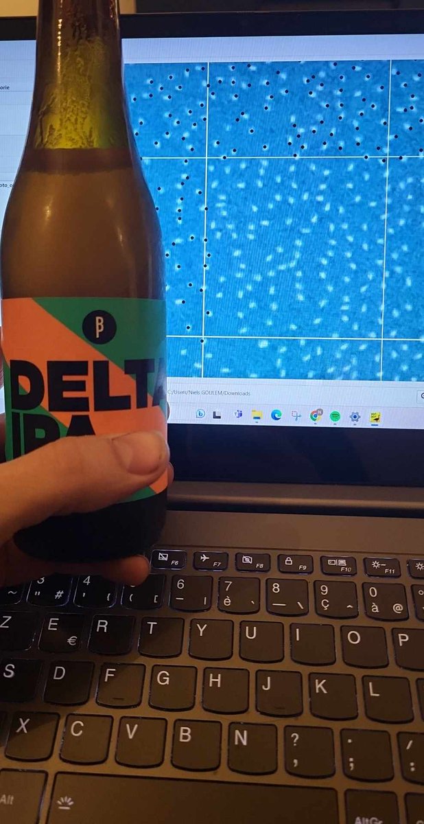 NGoulem's tweet image. 15242 roosting gulls (mainly black-headed with common, herring and caspian) forming a cute little heart at the CCB quarry (Tournai) on Saturday evening. Just before a Eurasian eagle-owl started singing openly from the top of a poplar. Quite an atmosphere!