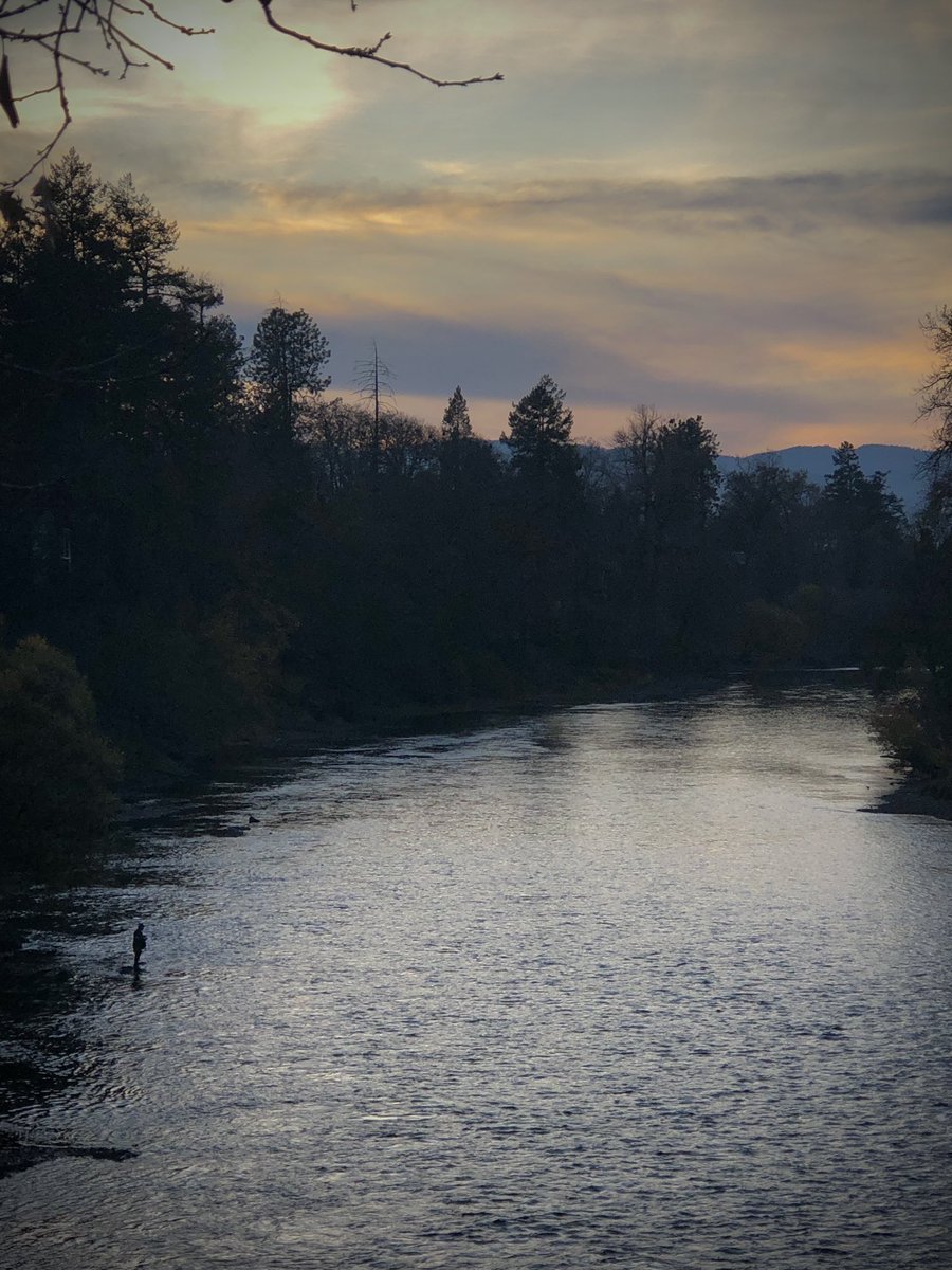 The Fisherman. An iPhone photo, shot from a pedestrian bridge. #Gallery365 #Gallery365in2024