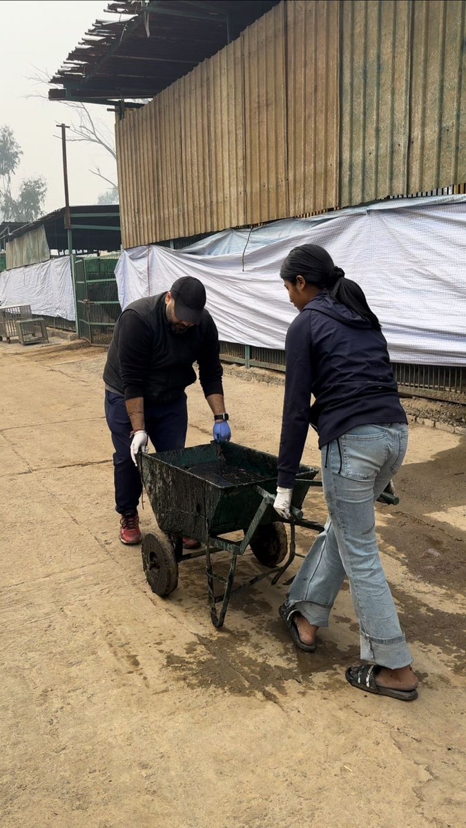 The invitation for a cleaning drive at the ACGS Noida Animal Shelter saw volunteers rolling up their sleeves and getting to work on the appalling choked drains! They care for the animals in Noida, show you care too <a href="/noida_authority/">NOIDA Authority</a> <a href="/CeoNoida/">CEO, NOIDA Authority</a> <a href="/dmgbnagar/">DM G.B. Nagar/NOIDA</a>
#VolunteersForACGSNoida