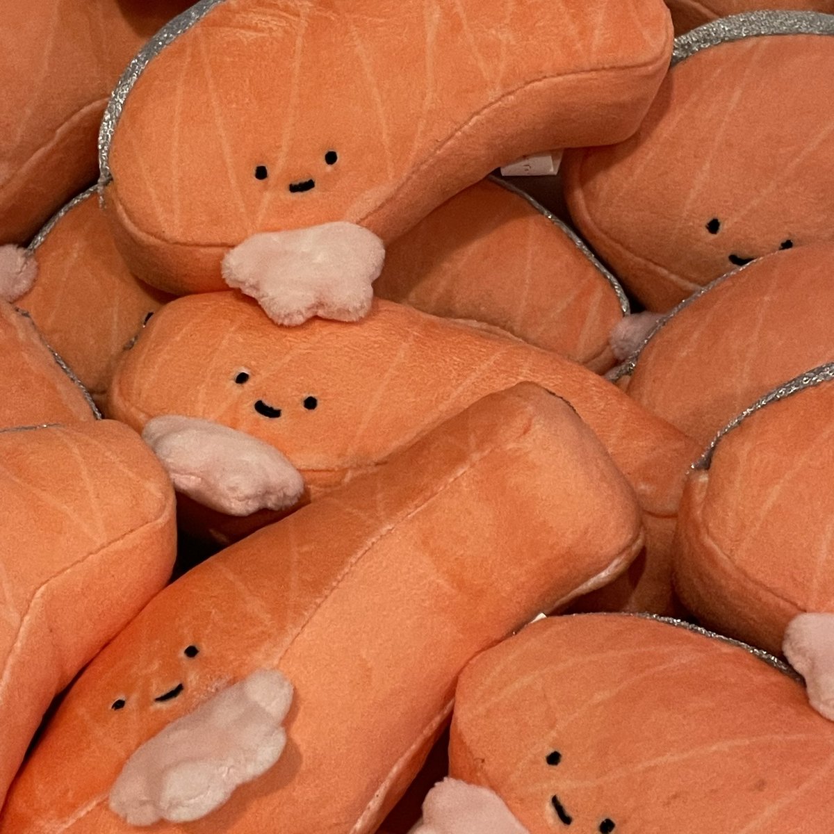 이십대인 내가 어부가 될 수 있었던 이유