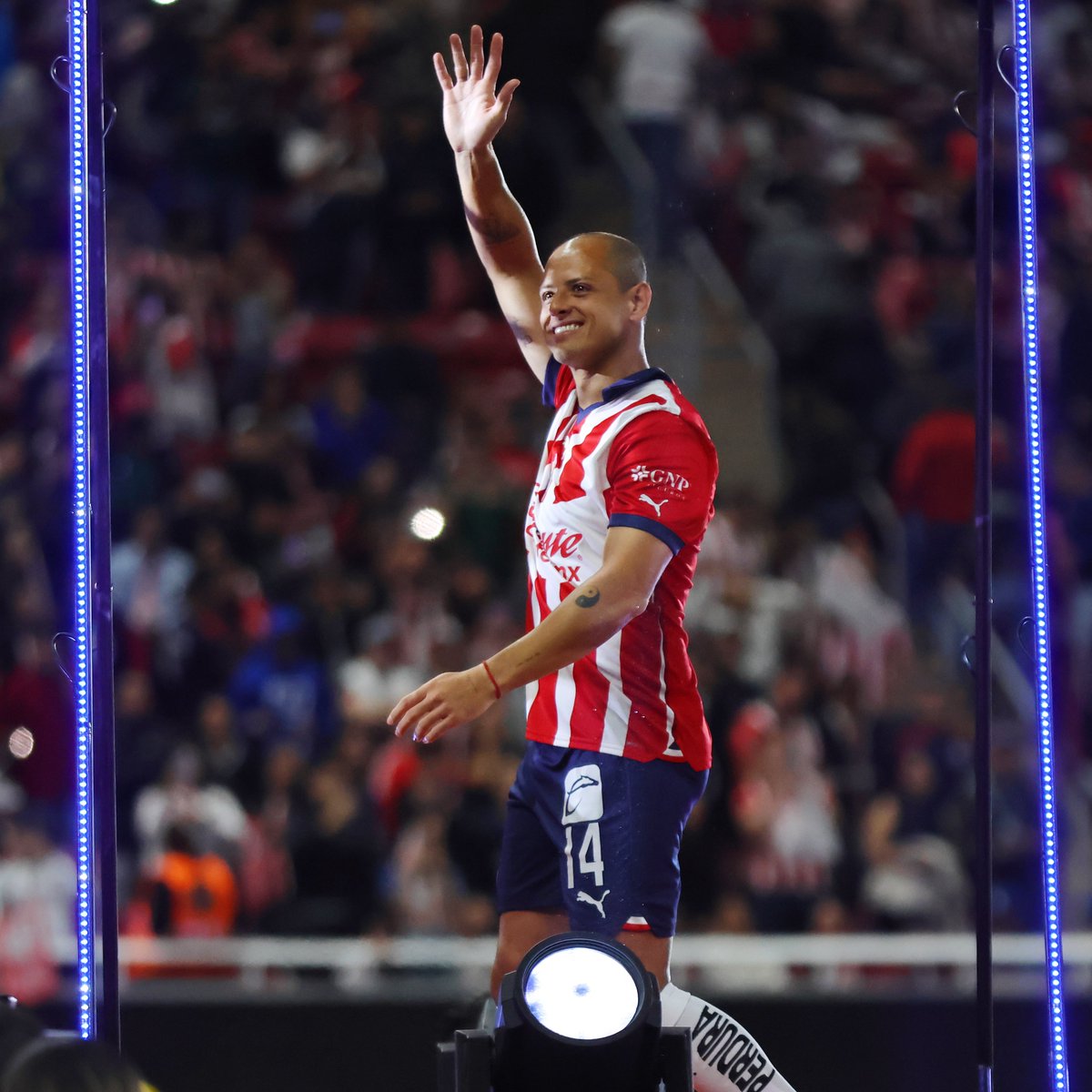 miseleccionmx's tweet photo. ¡El 1️⃣4️⃣ volvió en grande 😎!

¡La presentación de @Chivas fue del tamaño de una LEYENDA 📜⚽️!

#HO14CHICHARITO! https://t.co/okAKpOvJYo