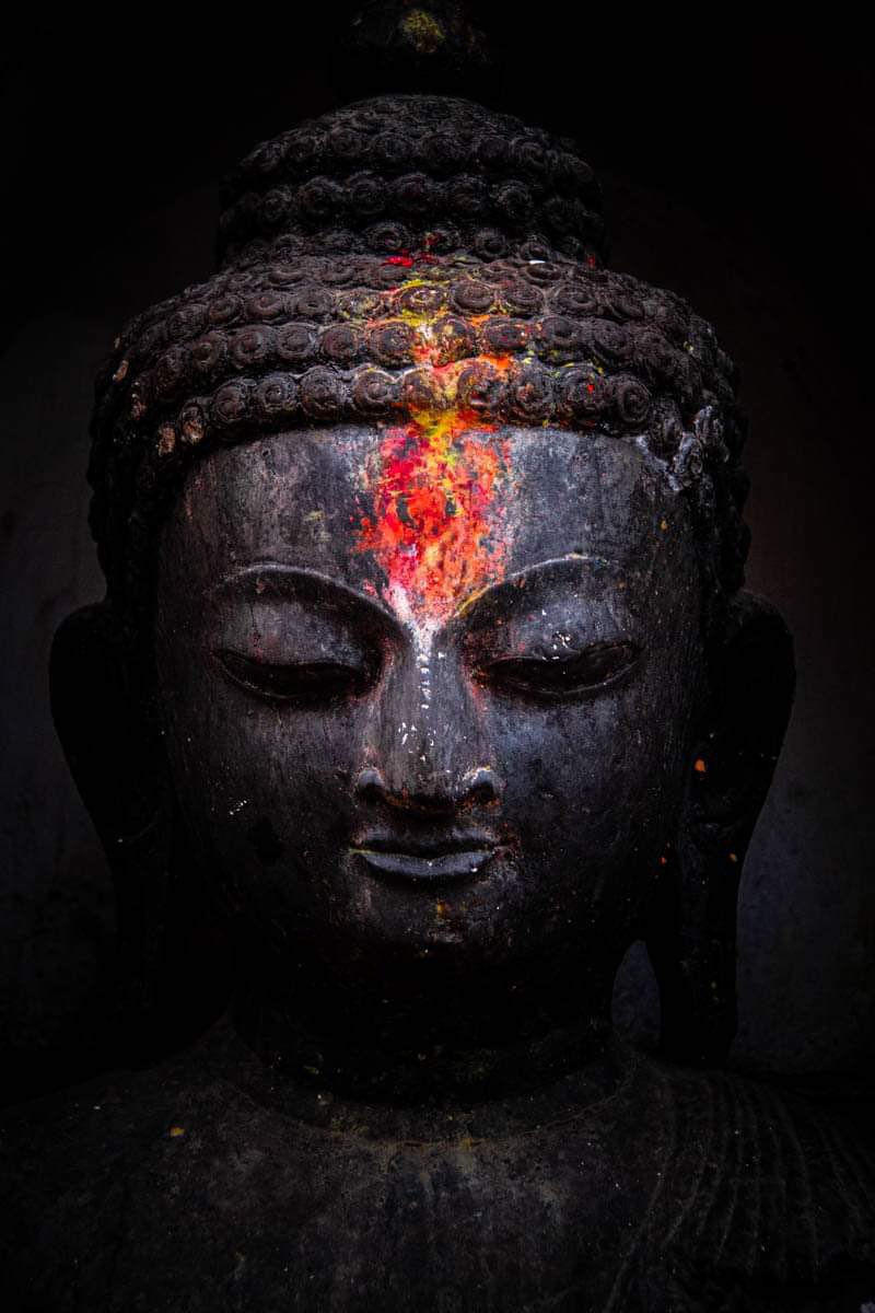 “Your thoughts shape your reality. Choose positivity, and watch your world transform into something beautiful.”