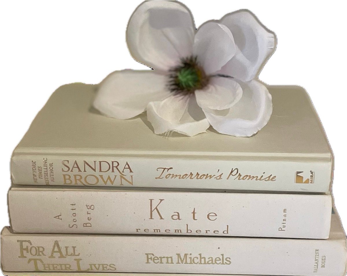janberrio's tweet image. Check out this beautiful white book stack!
#whitebookstack
#bookbundle
#bookdecor
#instantlibrary
#bookbundle
#booksbycolor
#goldlettering

jeb1259.etsy.com/listing/165323…
