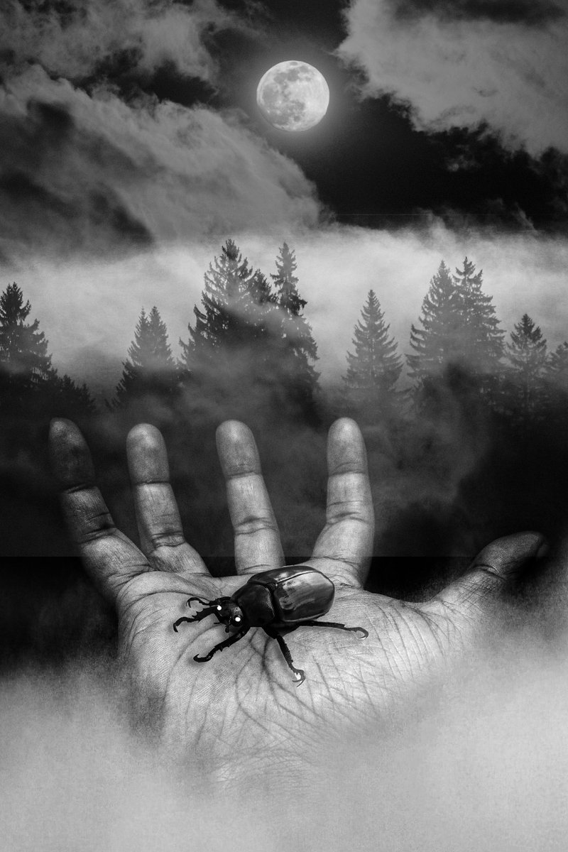 JoelCMcKay's tweet image. Interior art from #ItCameFromTheTrees - this one for the titular tale about a group of tree planters who run afoul of parasitic insects. Thanks to @KealanBurke for the amazing art, and @PhilAthans for some great editing. #HorrorAuthor