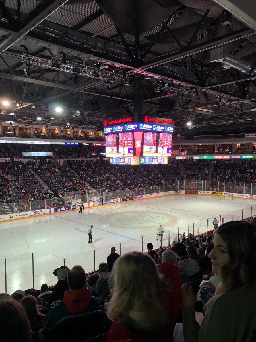 #GoMooseGo