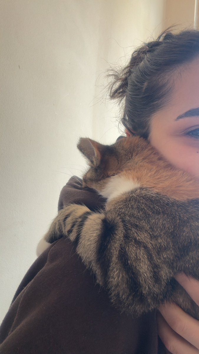 başımın belası ilgi delisi