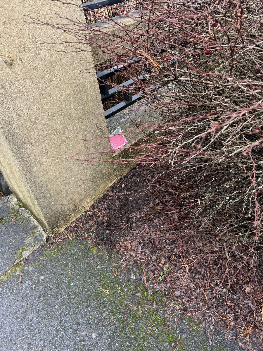 duttonmonkeys's tweet image. Had to show the baby monkeys around the park #monkeyshines2024