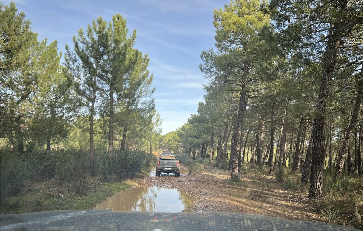 suanguerrero's tweet photo. Preciosa Ruta la que hemos hecho en Enero 🛻💨… ya estamos preparando la de Febrero! #fammotor #ocio4x4 https://t.co/H8oaVOsM3g